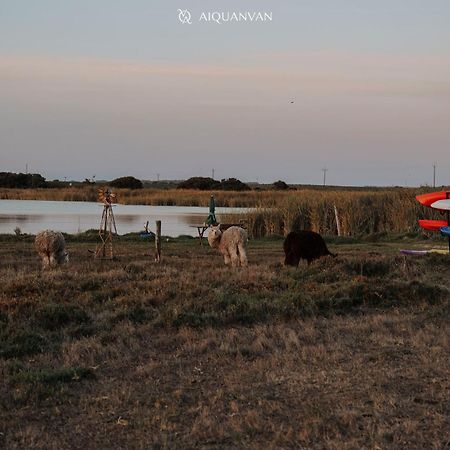Coorong Island Retreat - Farm Stay At Pet Friendly Property Meningie Εξωτερικό φωτογραφία