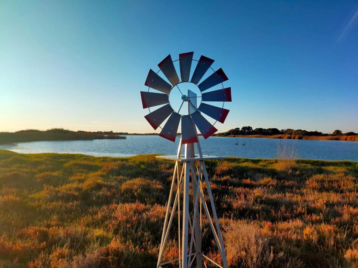 Coorong Island Retreat - Farm Stay At Pet Friendly Property Meningie Εξωτερικό φωτογραφία