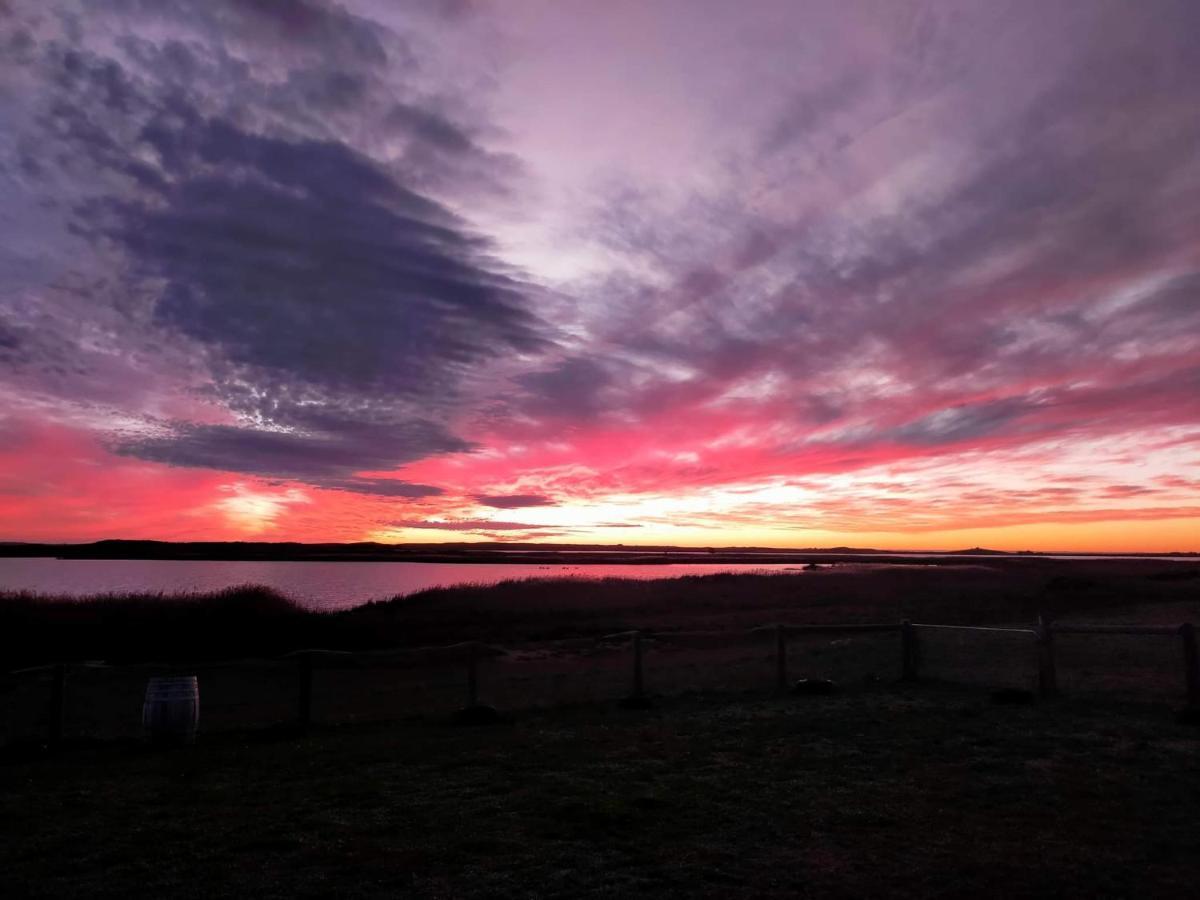 Coorong Island Retreat - Farm Stay At Pet Friendly Property Meningie Εξωτερικό φωτογραφία