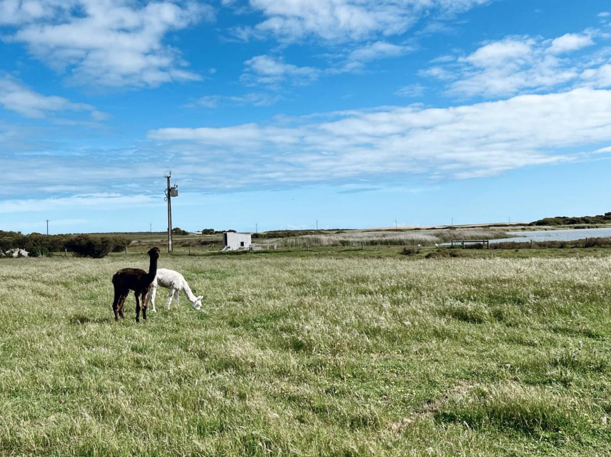Coorong Island Retreat - Farm Stay At Pet Friendly Property Meningie Εξωτερικό φωτογραφία